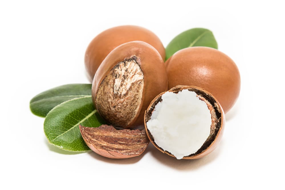 Ingredientul african numit Aurul Femeilor: De ce este mai prețios decât orice cremă de lux Ingredientul african numit Aurul Femeilor: De ce este mai prețios decât orice cremă de lux