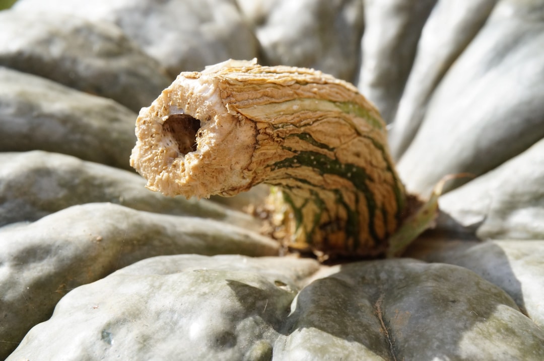 Alimentatia si tenul: Ce sa mananci pentru o piele elastica si sanatoasa